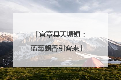 宜章县天塘镇：蓝莓飘香引客来